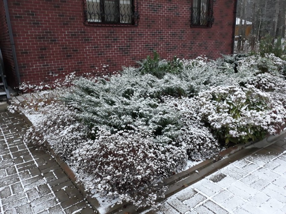 Сад  на холмах