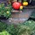 Madeline George Garden Design Nursery