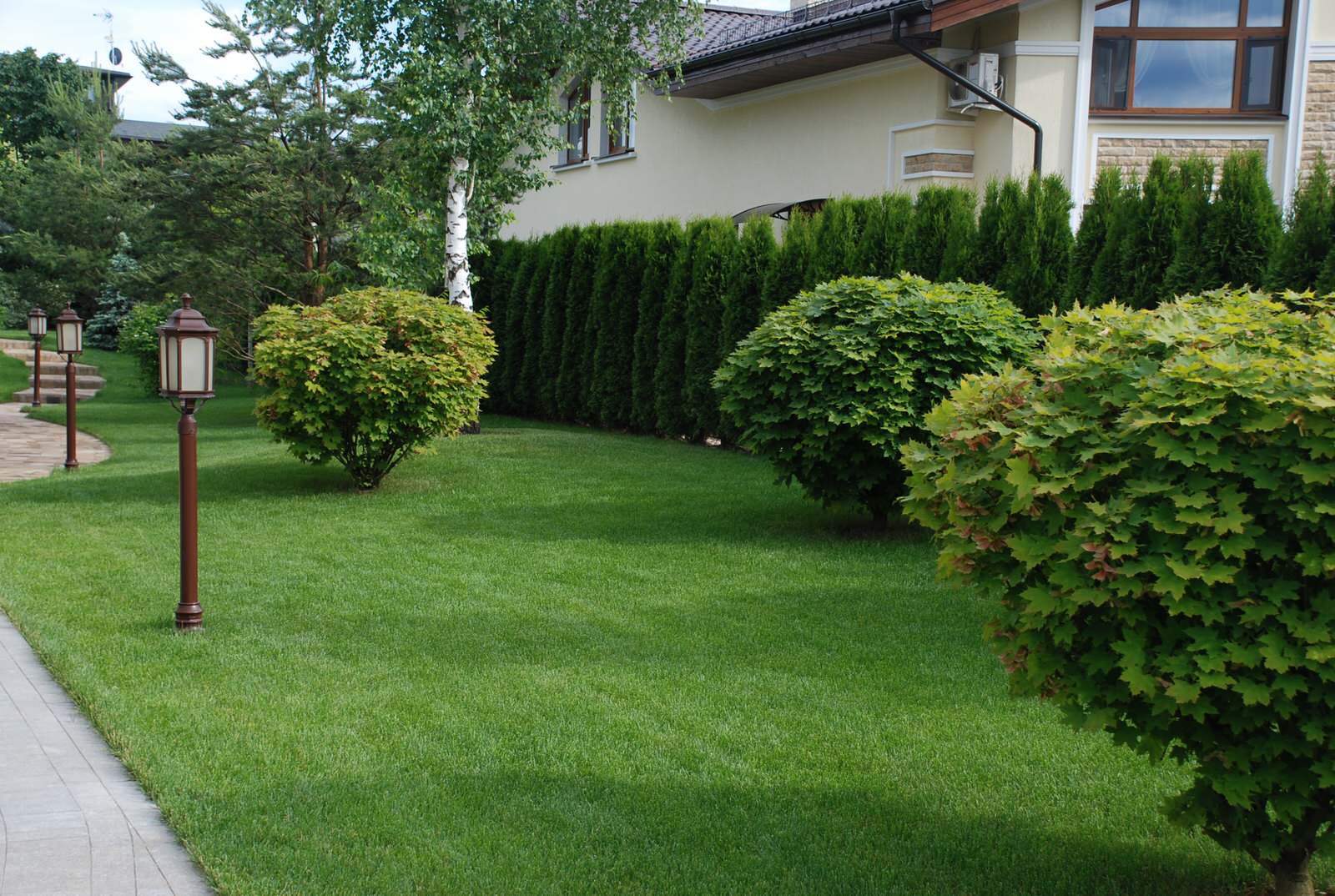 Сад в КП Миллениум Парк