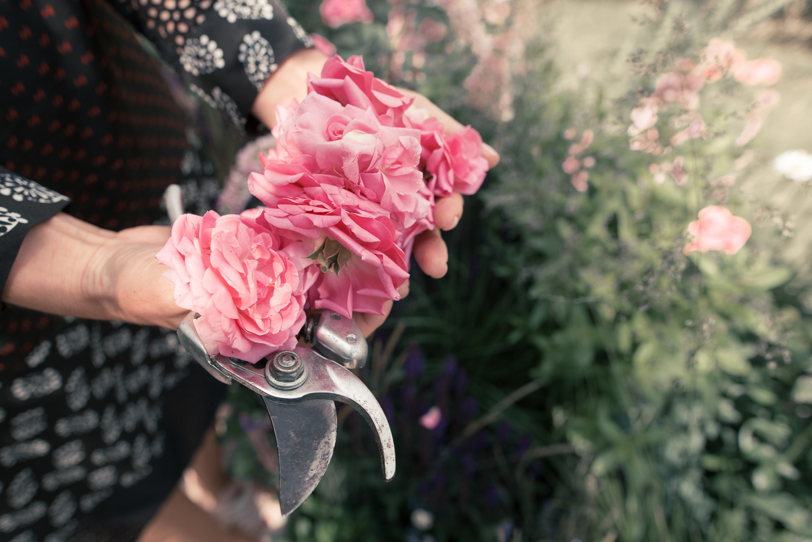 Grain de Perle (Зерно Жемчужины)