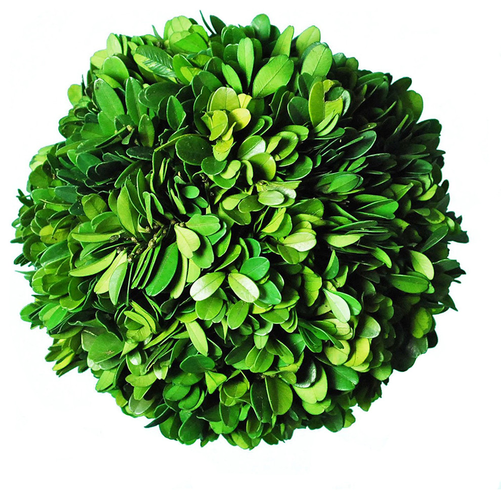Floral Decor 1/2 Sphere 6" Artificial New England Boxwood 