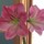 Last commented by Marcia Wright