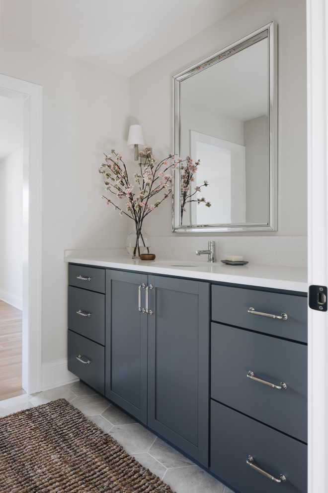 Home design - transitional home design idea in Chicago