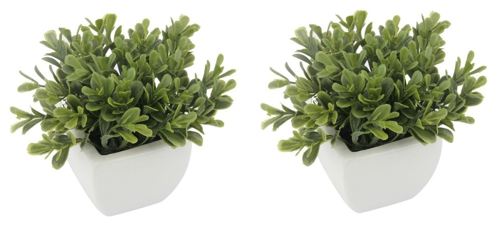 Artificial Succulent in White Ceramic Square Pot, Set of 2