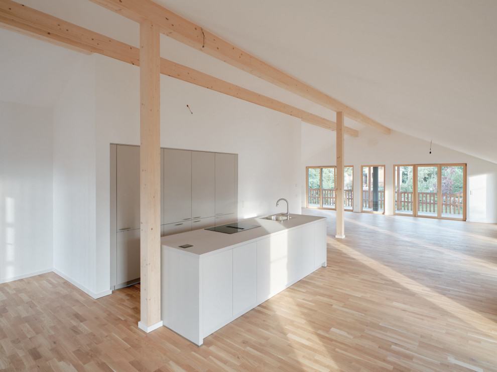 Zweizeilige, Große Moderne Wohnküche mit hellem Holzboden und Kücheninsel in Sonstige