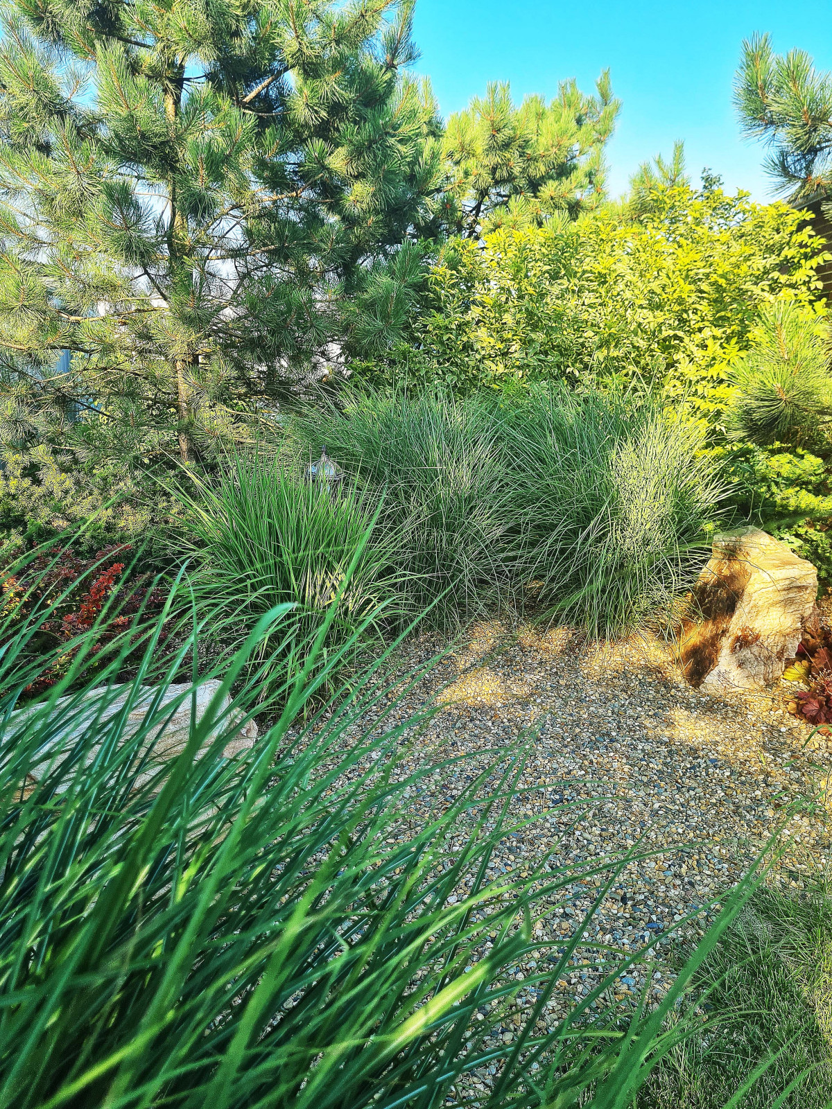 Дивная усадьба