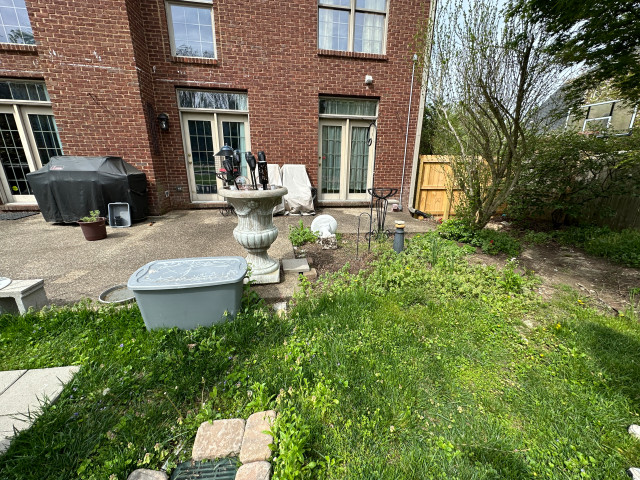 Before backyard corner 