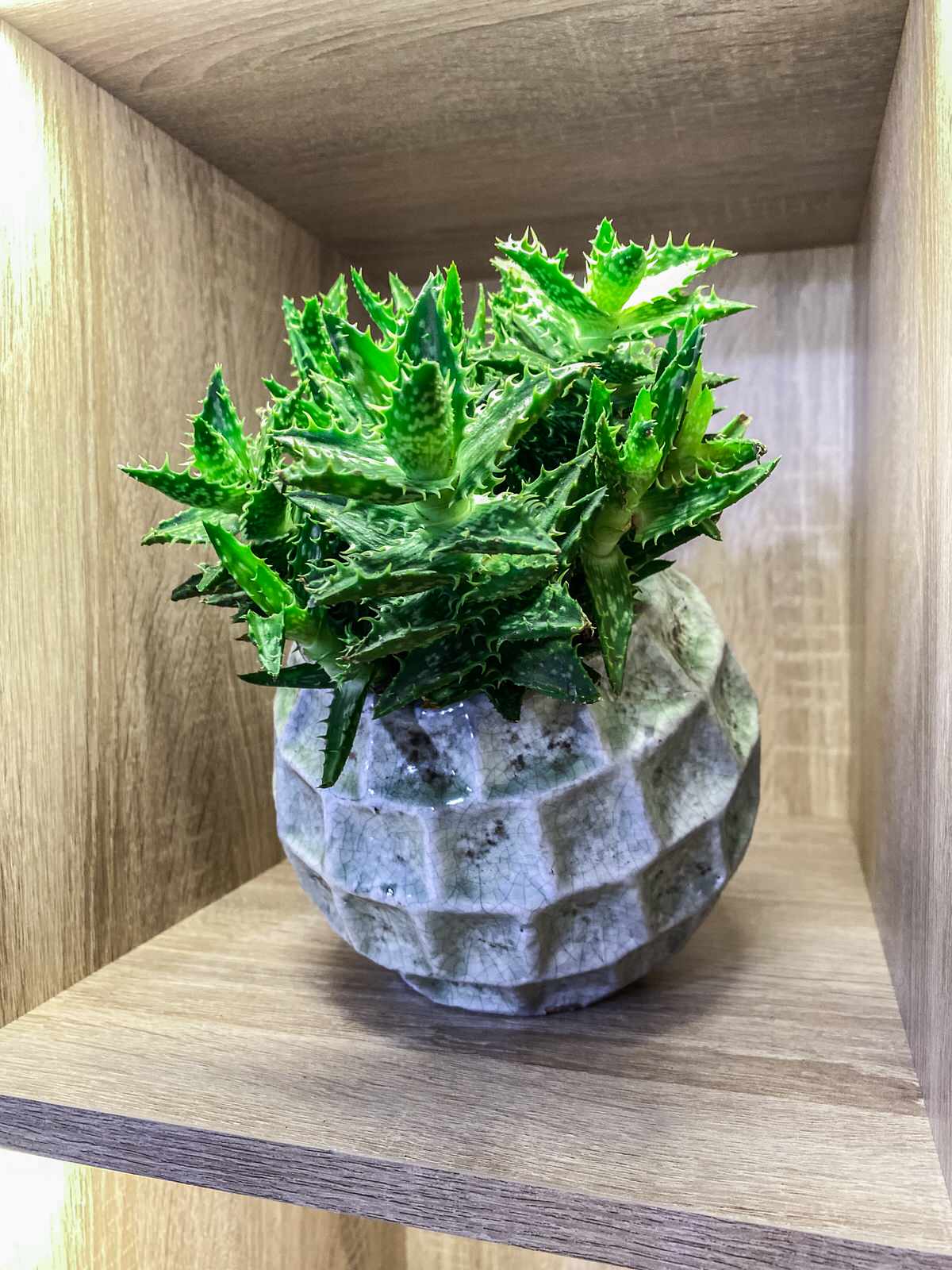 Частный дом