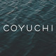 Coyuchi