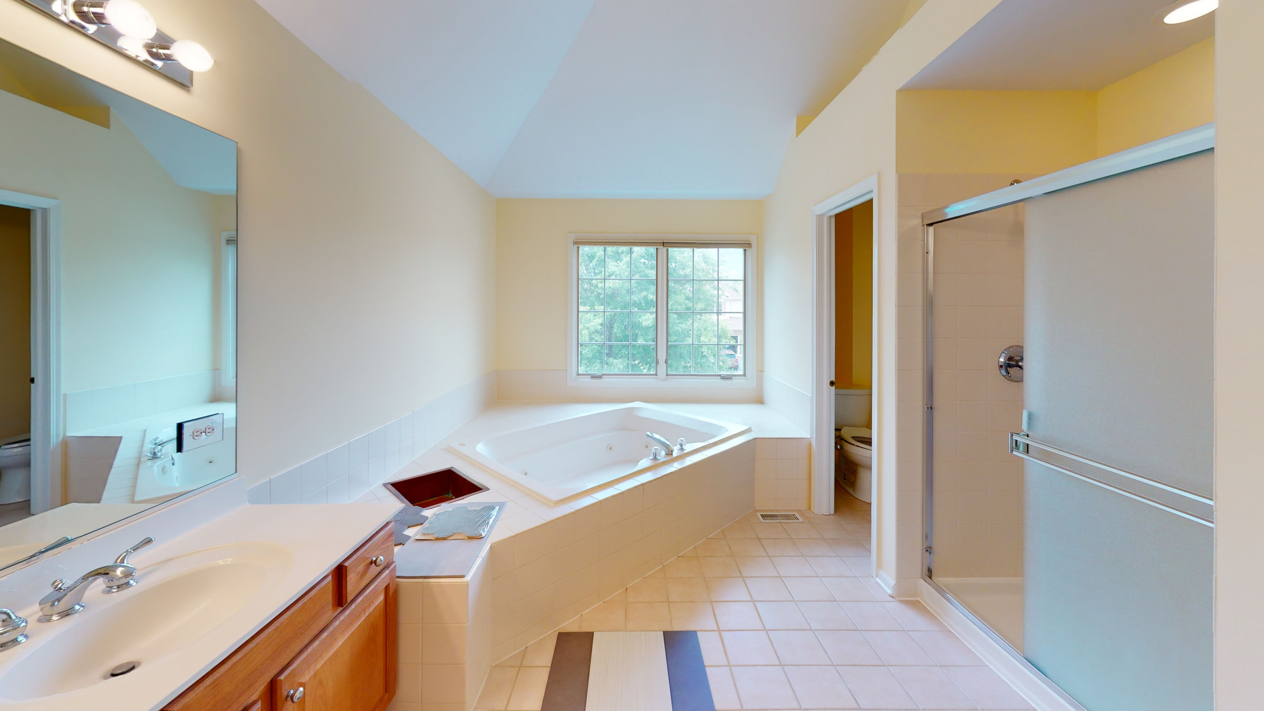 Willow Spring Master Bath