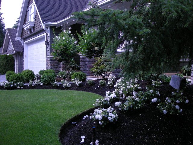Front Yard Landscaping Make Over 1 - Traditional ...