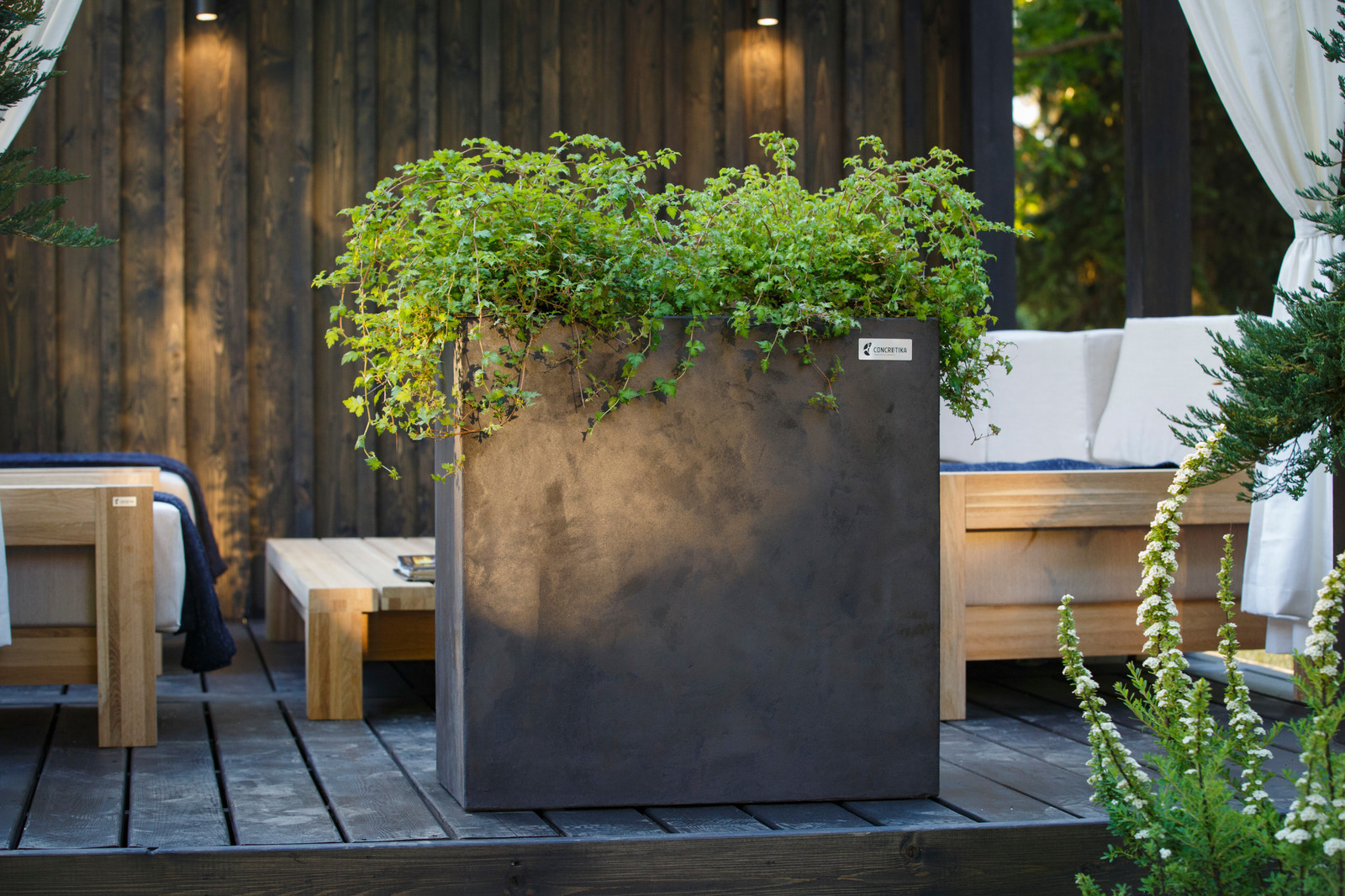 Вазоны и кашпо