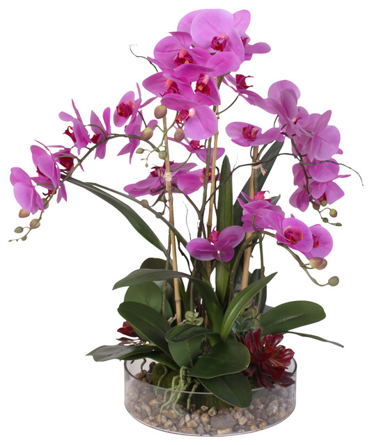 Purple Phalaenopsis Orchid with Succulents and Natural Rocks in Glass ...