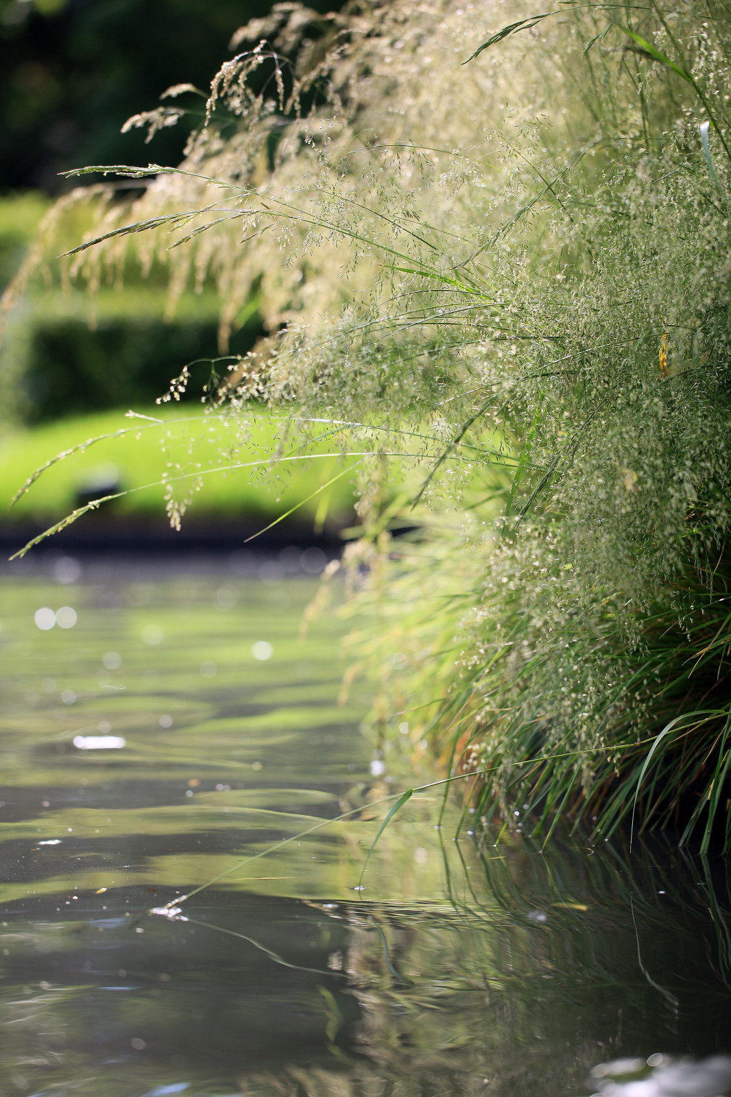 Геометрия природы Moscow Flower Show 2017