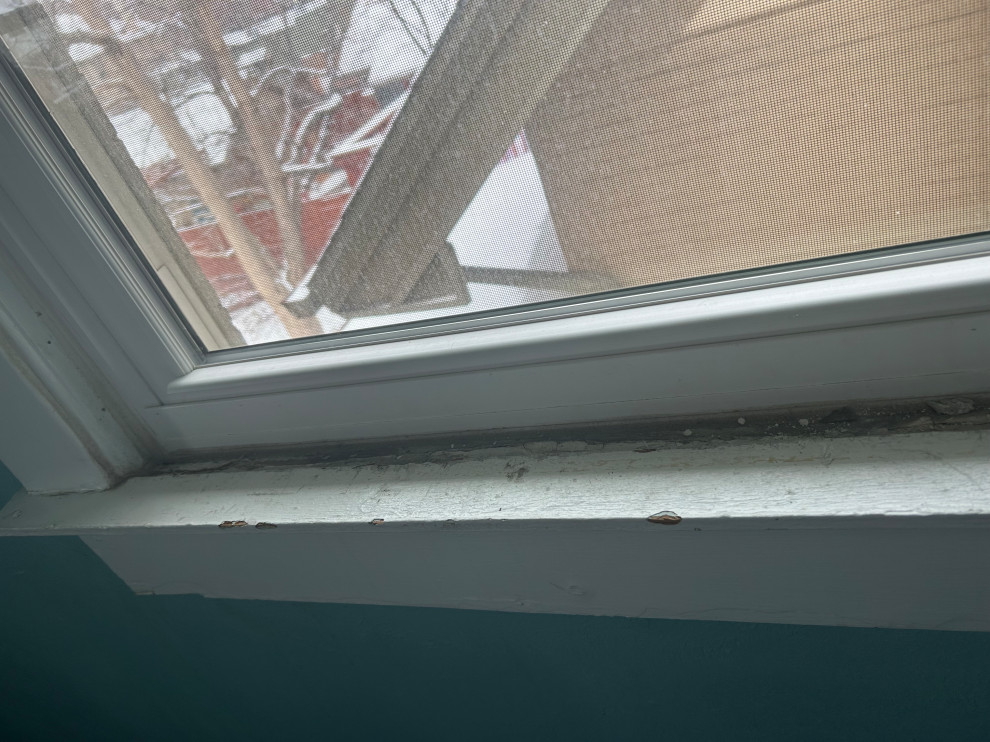 Guest Bedroom Restoration