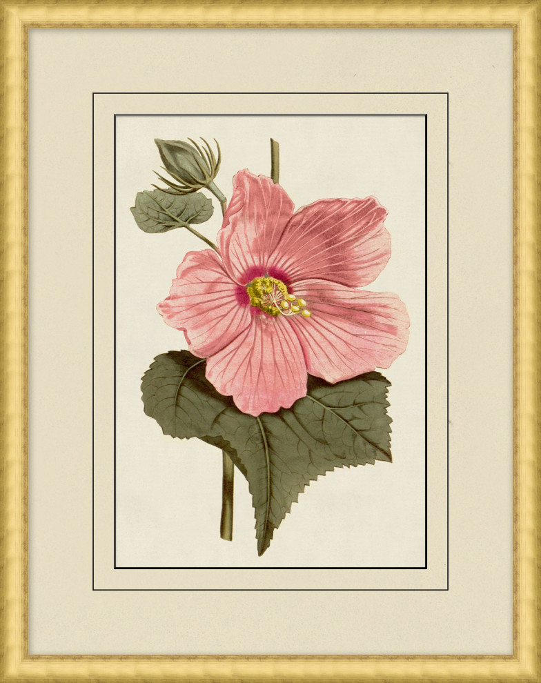 Fresh Flowers 9, Giclee Reproduction Artwork, 18.75x23.75