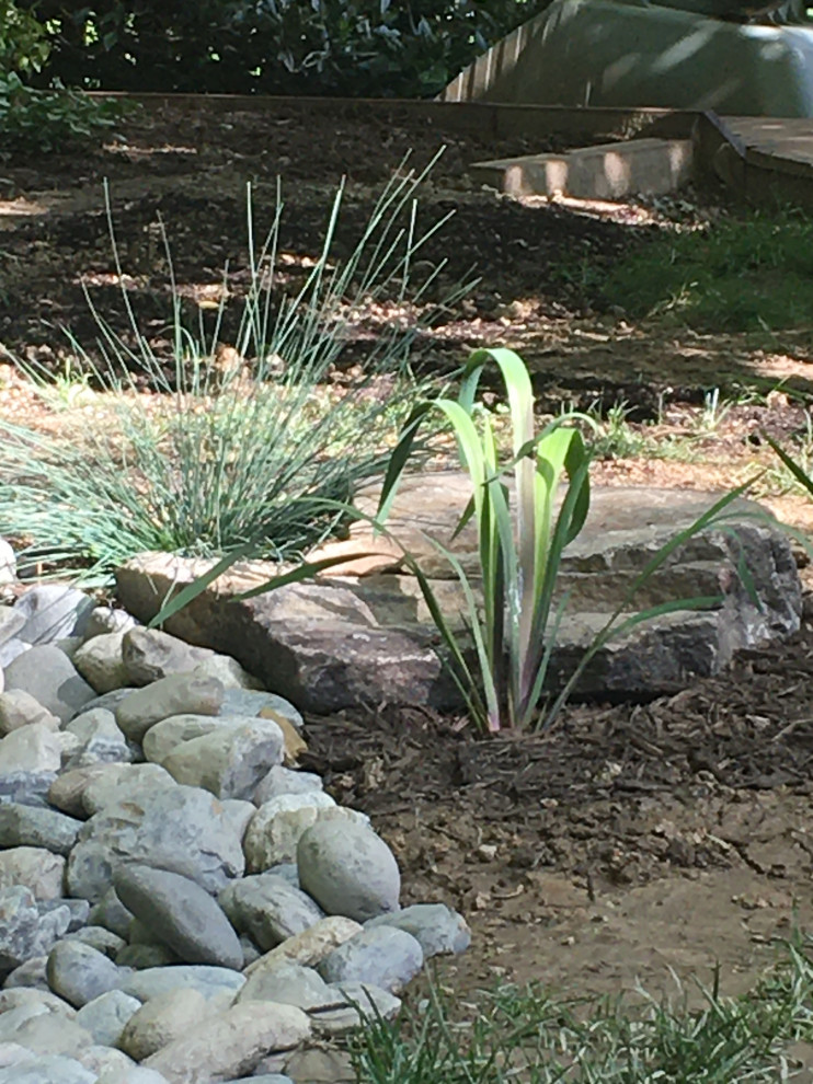 Design ideas for a contemporary landscaping in DC Metro.