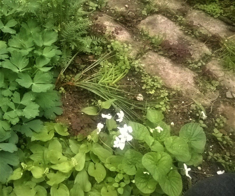 Русское Ретро