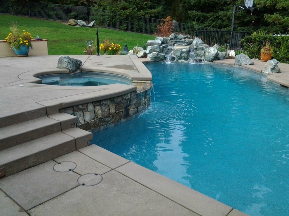 Inspiration for a mid-sized transitional backyard custom-shaped and concrete natural hot tub remodel in Sacramento