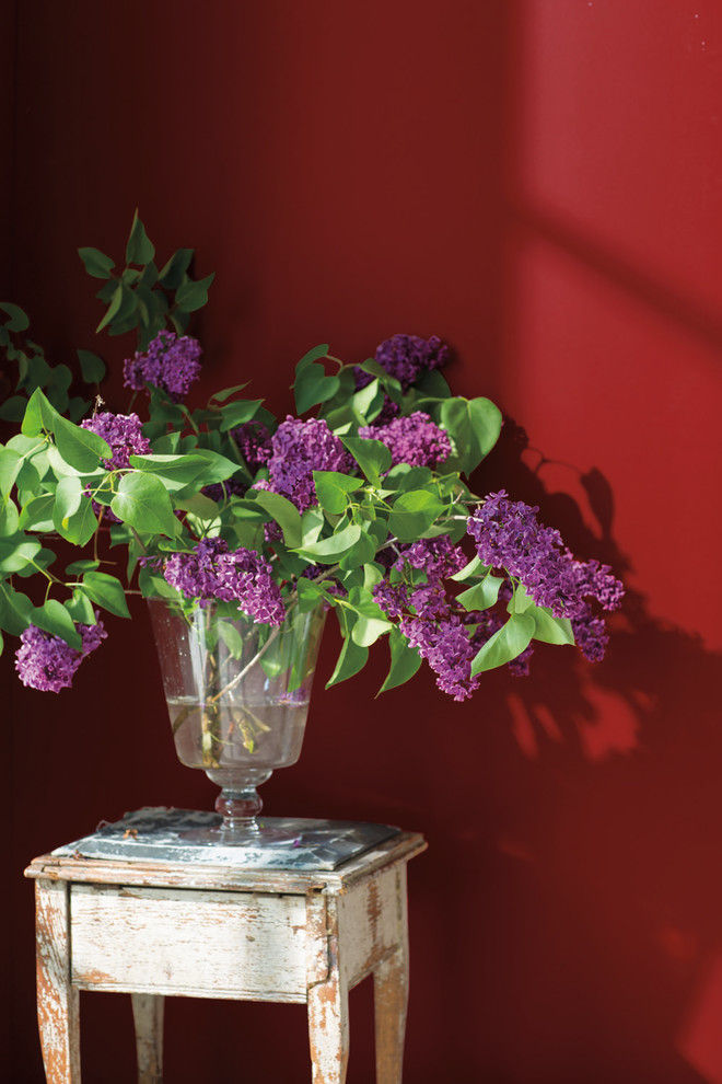 Цвет года 2018 (Caliente AF-290)