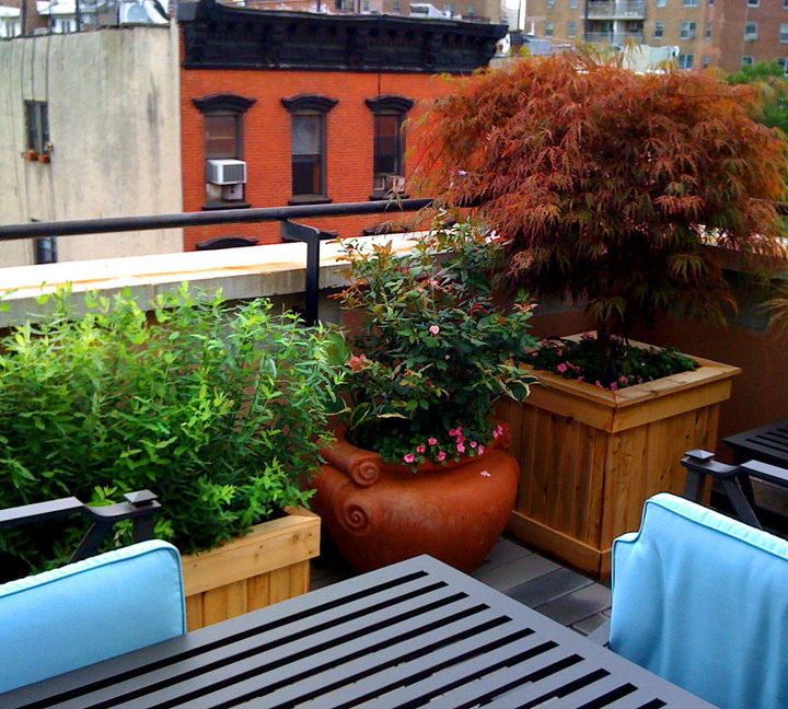 Deck container garden - traditional rooftop deck container garden idea in New York
