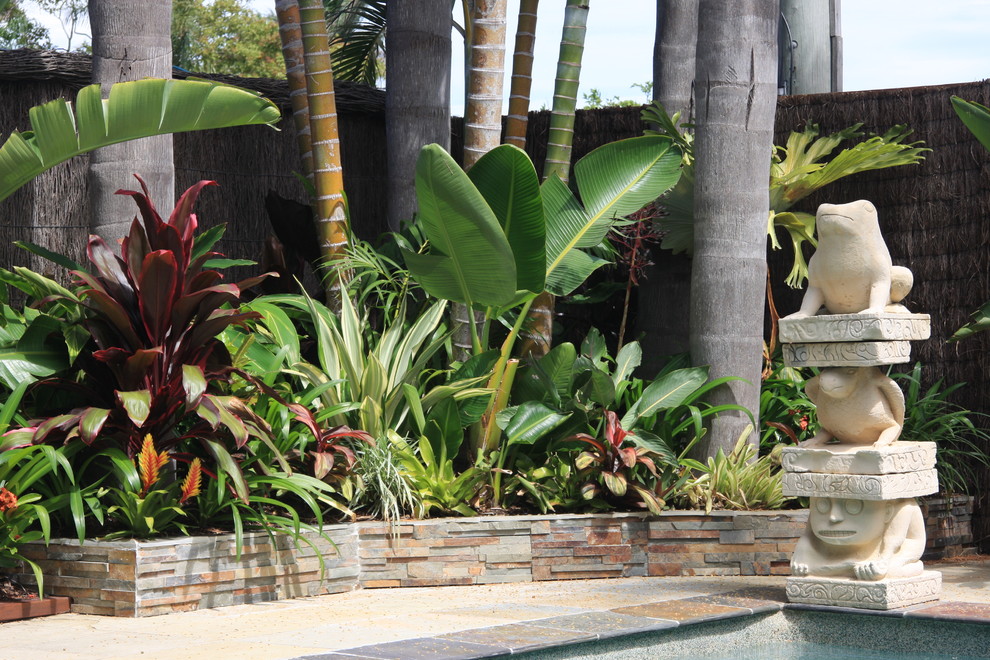 This is an example of a tropical garden in Gold Coast - Tweed.