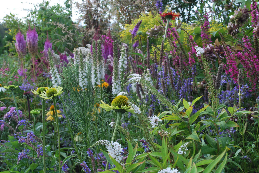 Сад натуралистического стиля