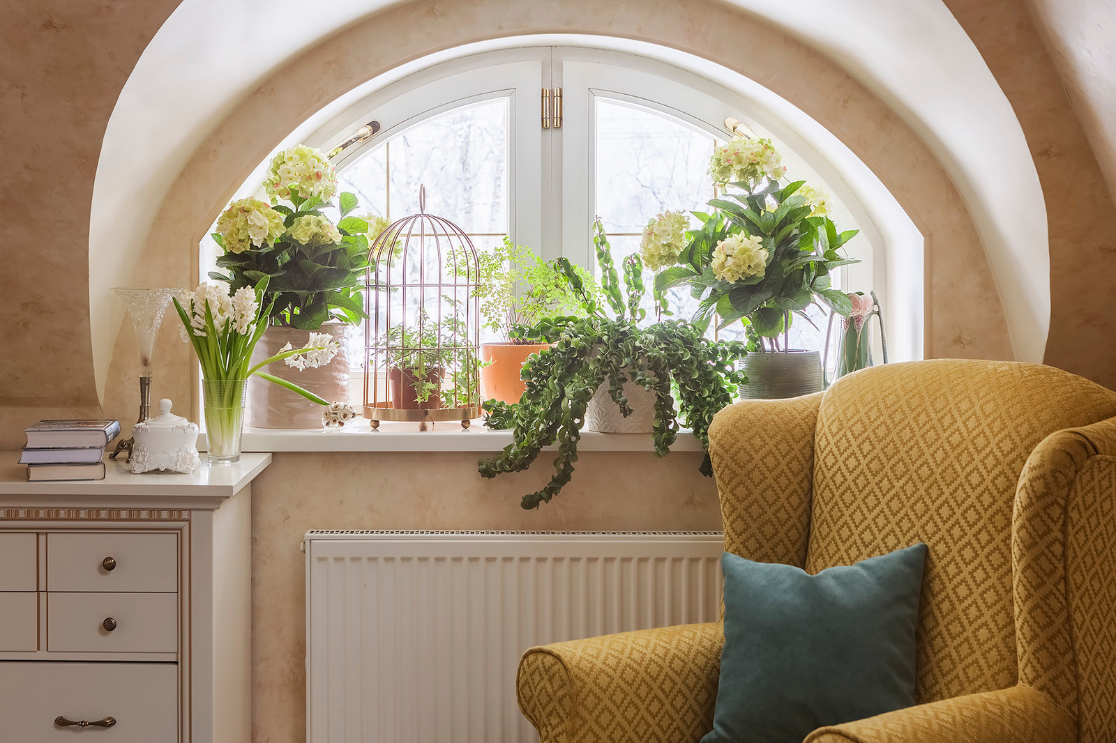 Английский сад