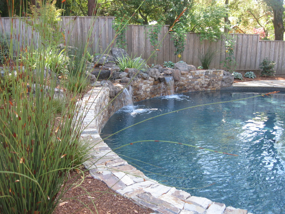 Photo of a large traditional backyard kidney-shaped pool in San Francisco with a water feature and natural stone pavers.