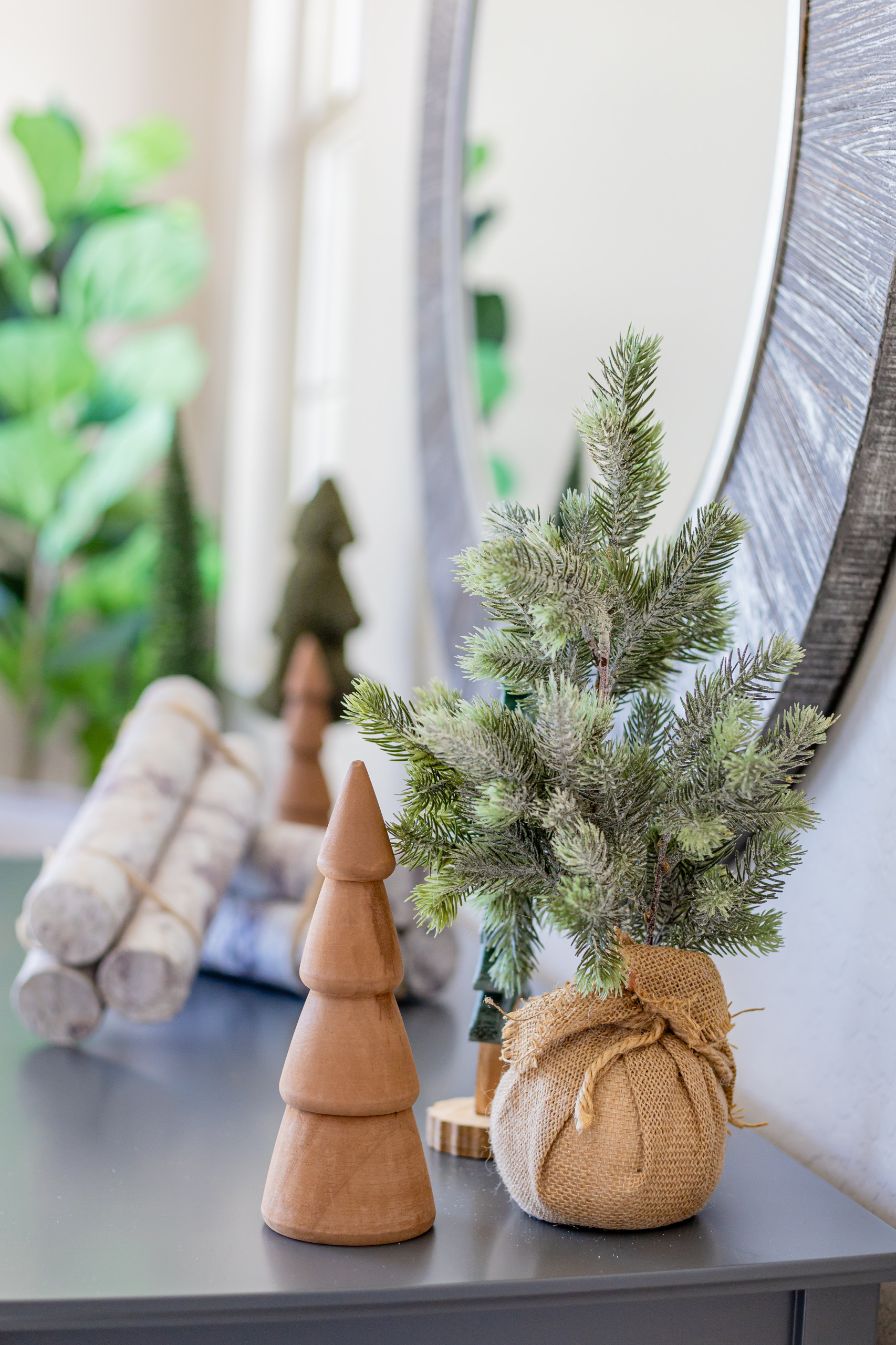 Queen Creek City Lifestyle Christmas Shoot