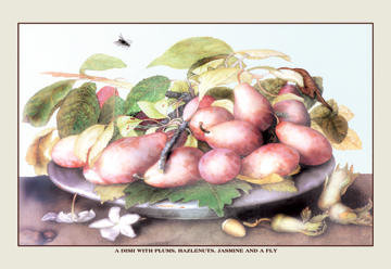 A Dish of Plums, Nuts, Jasmine and a Fly 20x30 poster