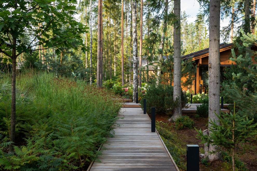 Природа Скандинавии