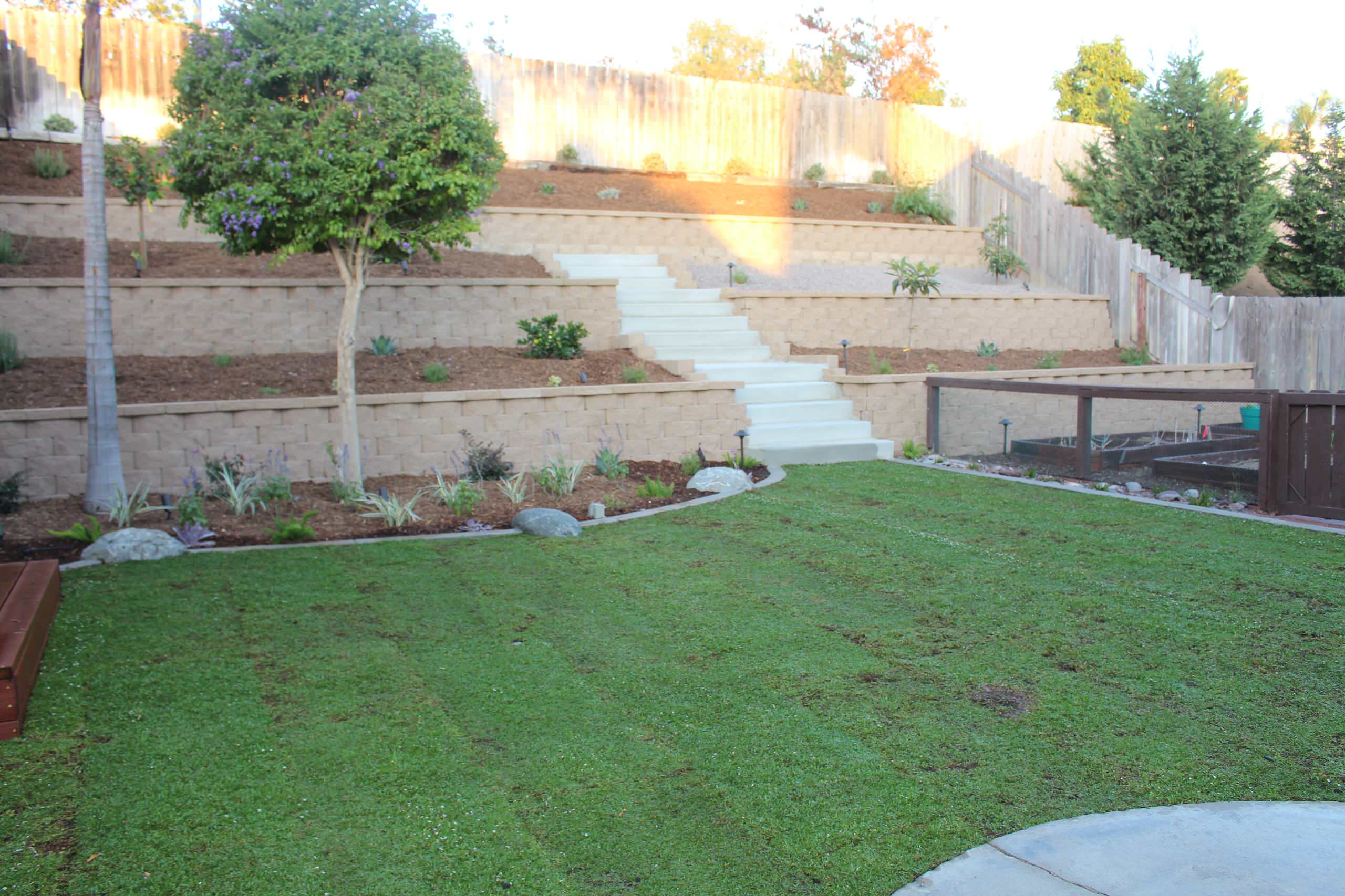 Black Mountain Ranch Terrace with Kurapia Sod