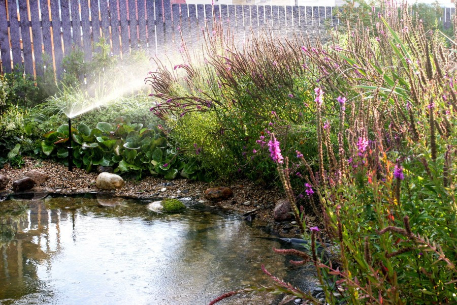 Полив в саду. Подмосковье.