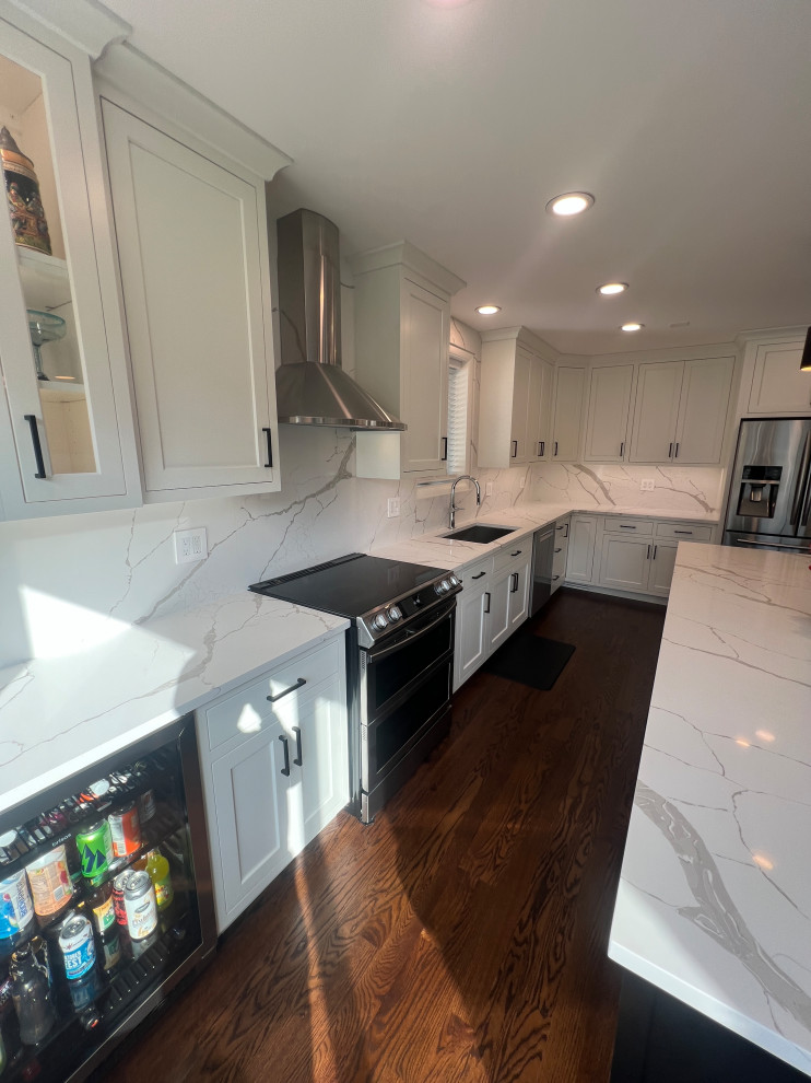 Chicago Kitchen/Dining Renovation