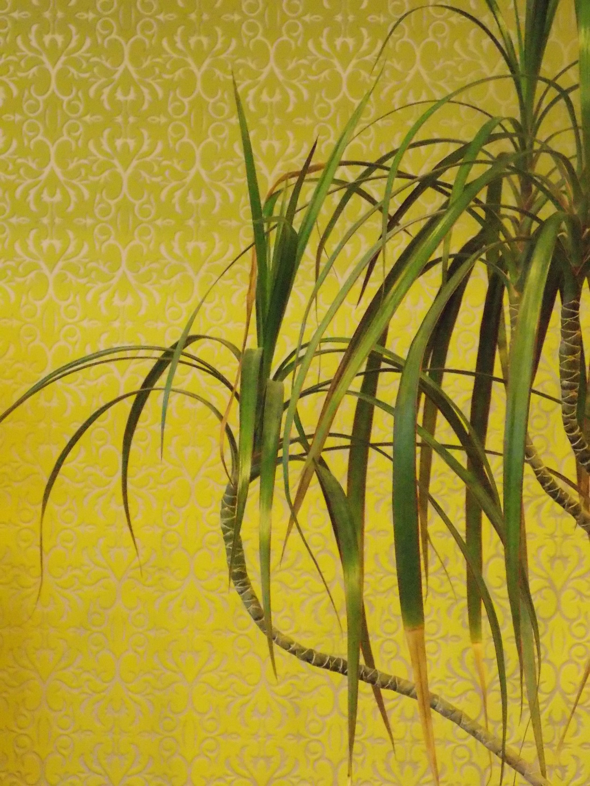 Фактура обоев