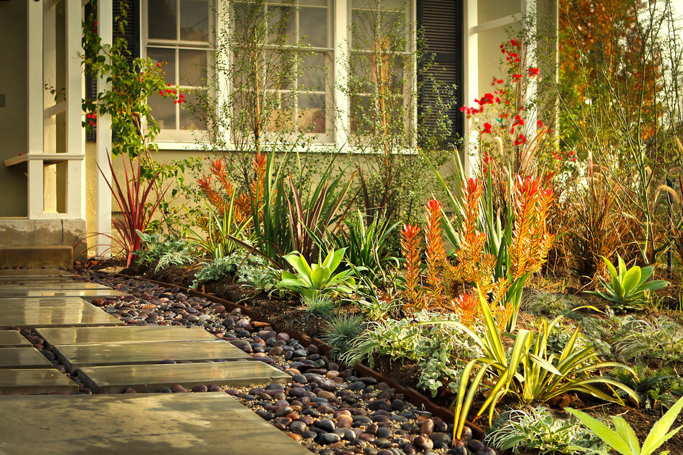 Inspiration for a small and australian native contemporary front yard partial sun xeriscape in Los Angeles with concrete pavers.