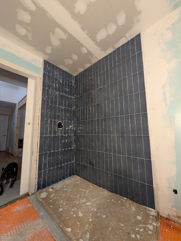 Fallowfield Bathroom Remodel 2