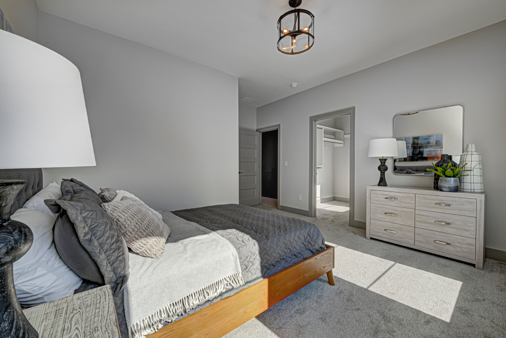 Modelo de habitación de invitados contemporánea de tamaño medio con moqueta, paredes blancas y suelo gris