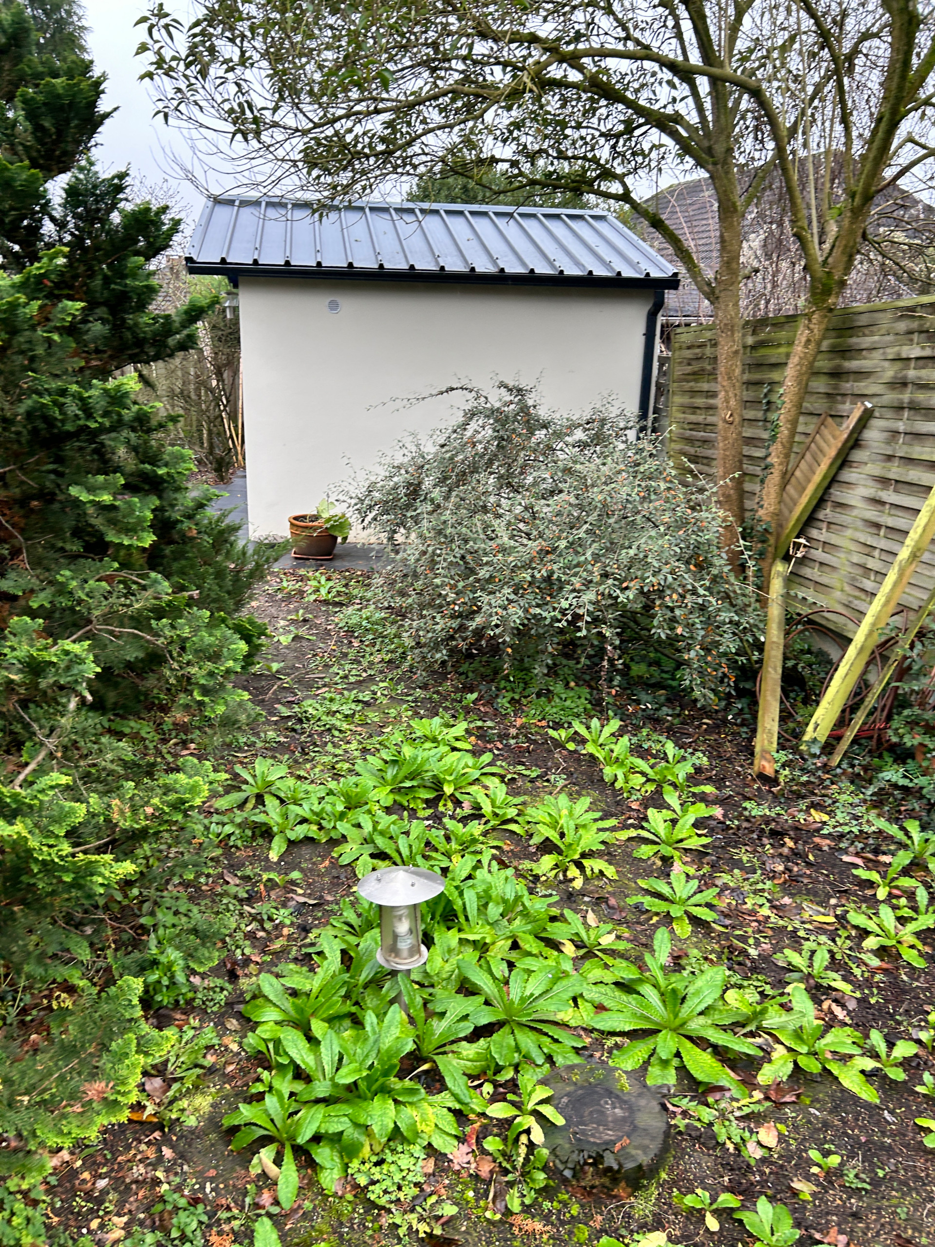 Jardin en Pots : Un Écrin de Nature