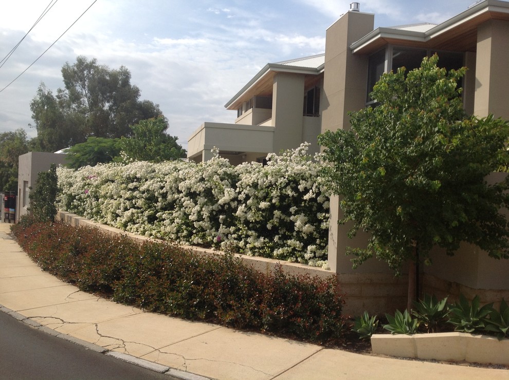 Contemporary front yard garden in Perth with a garden path.