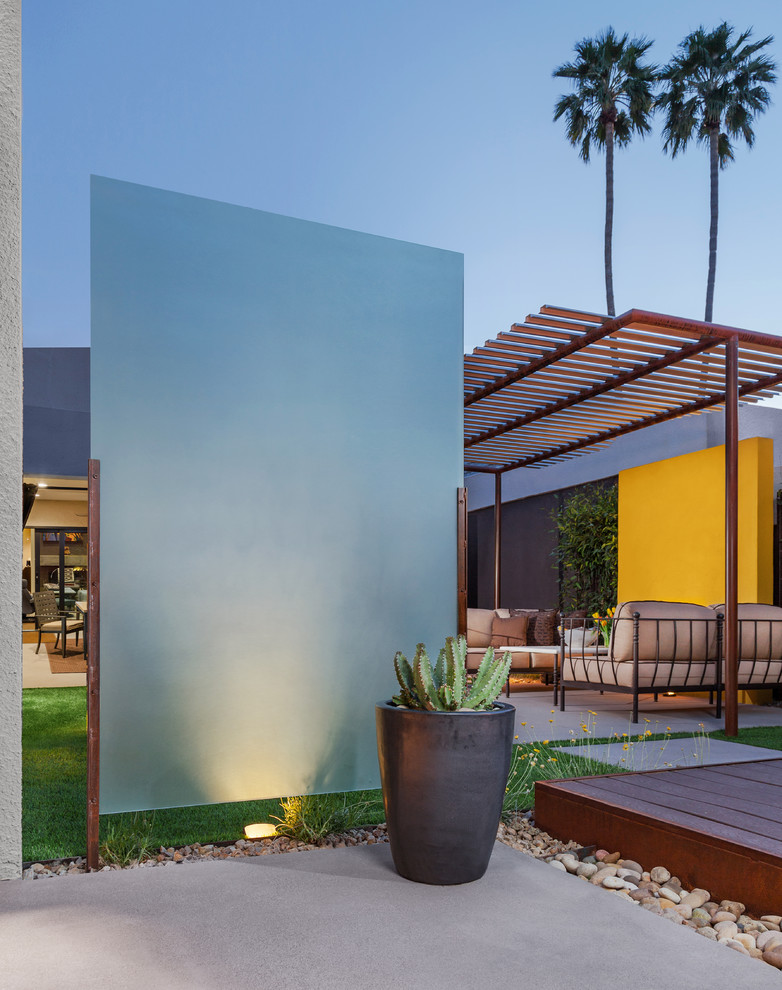 Inspiration for a modern backyard garden in Phoenix with a container garden.