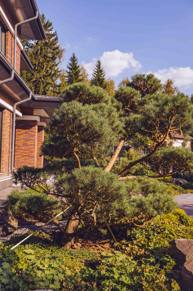 Архитектурное Решение в Пейзажном Стиле