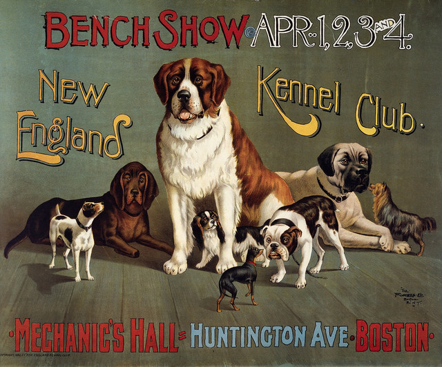 Bench Show. New England Kennel Club Print