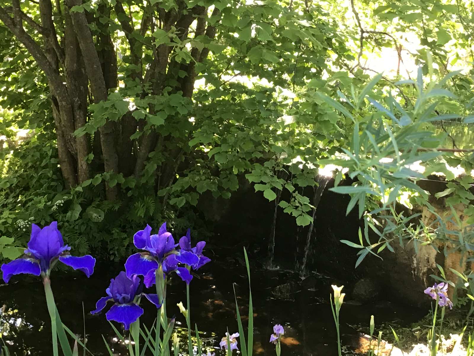 Сад натуралистического стиля