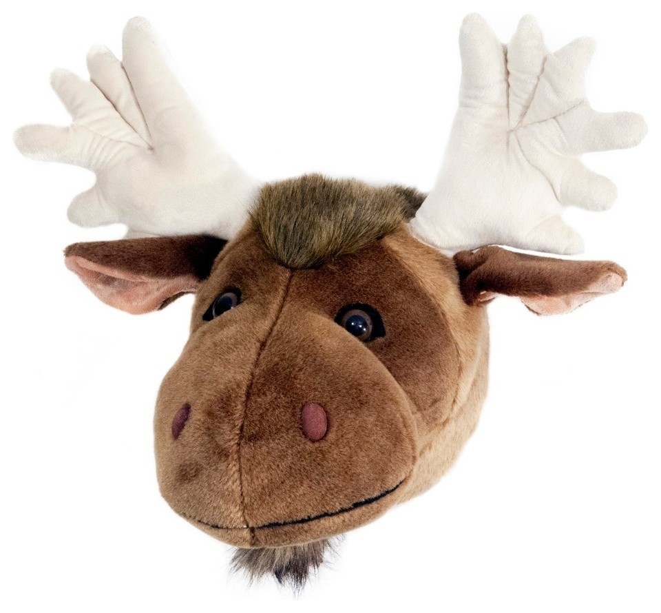 Moose Large Trophy Head