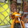 webuser_245866381