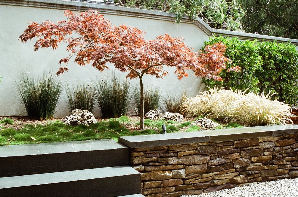 Inspiration for a home design remodel in San Francisco