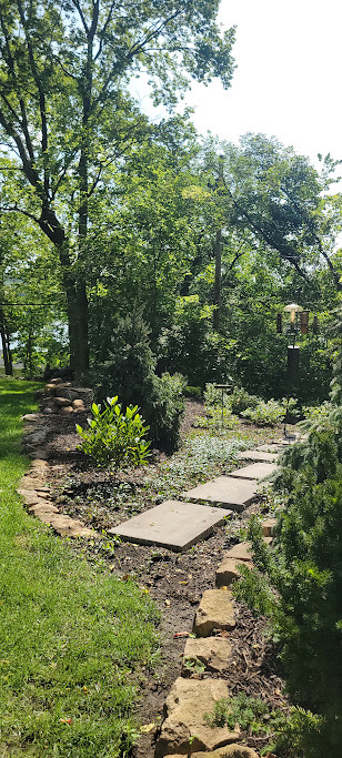 Woodland Restoration