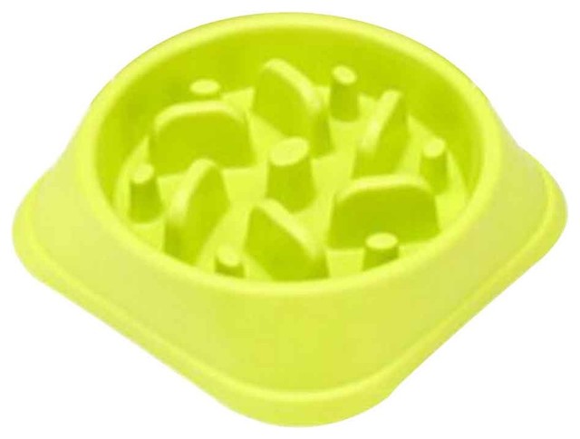 green slow feeder dog bowl